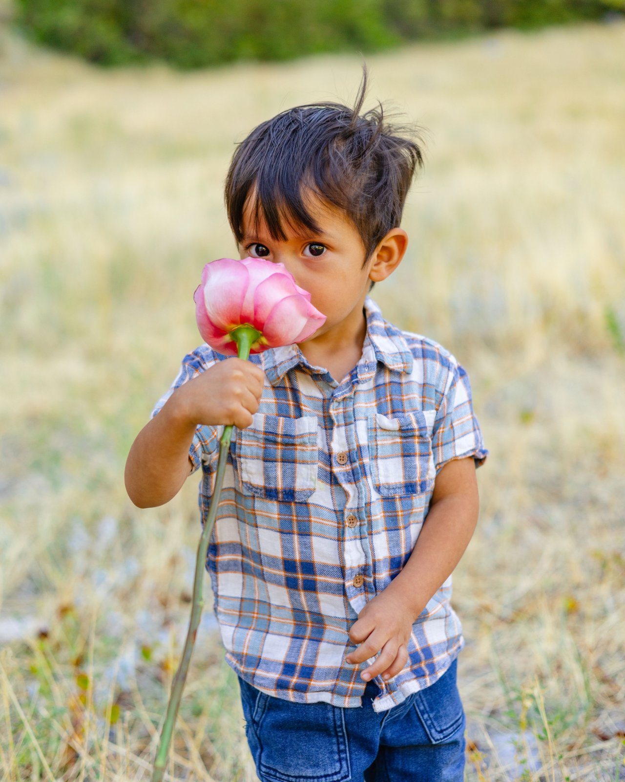 Flowershoot with Whitney Stirling Photo