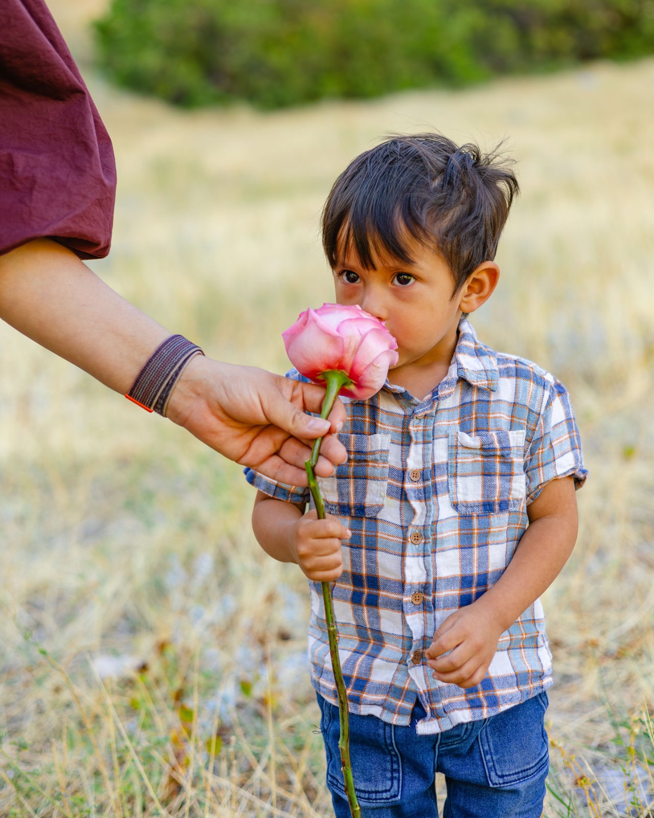 Flowershoot with Whitney Stirling Photo